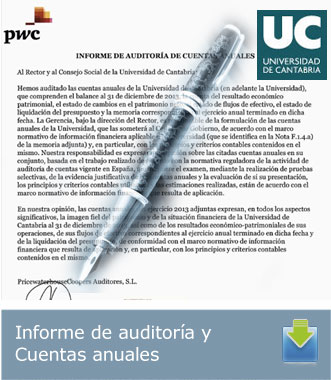 Informe de auditoría y cuentas anuales