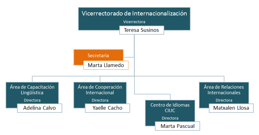 Organigrama del Vicerrectorado de Internacionalización