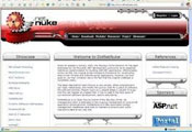 DotNetNuke template