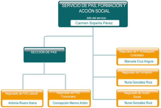 Organigrama del servicio