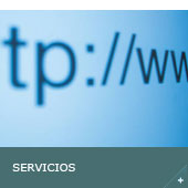 Servicios del área